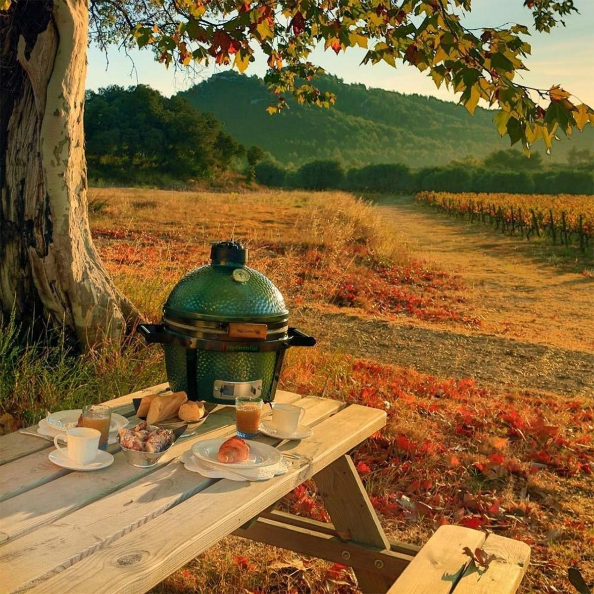 BIG GREEN EGG BG-119650 Kömürlü Kamado Minimax Barbekü Yeşil - görsel 2